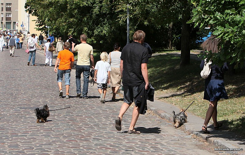 20090801_13-52-13_Klaipeda_Palanga.jpg