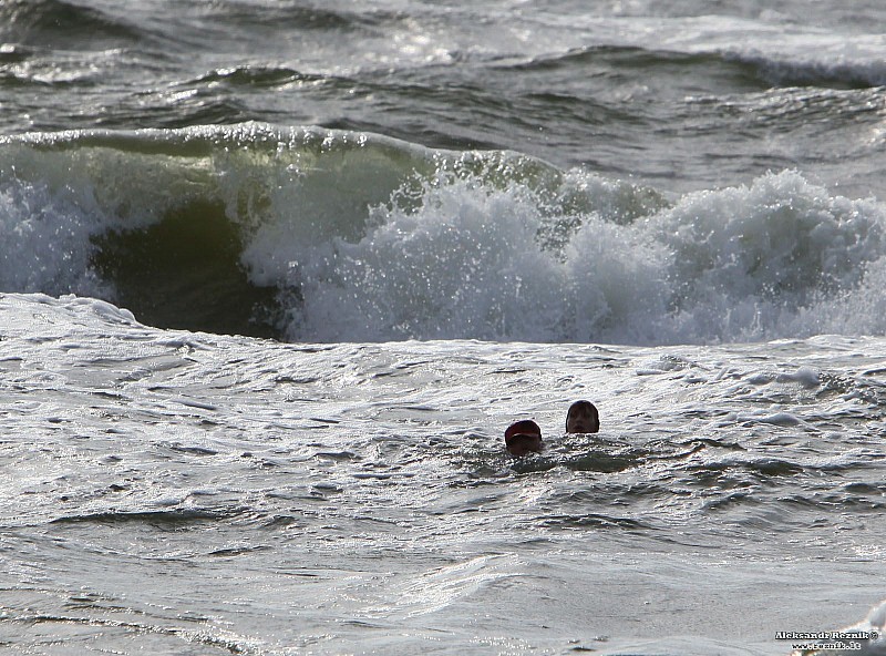 20090801_17-48-03_Klaipeda_Palanga.jpg