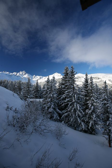 20090121_081422_Courchevel_5d.jpg