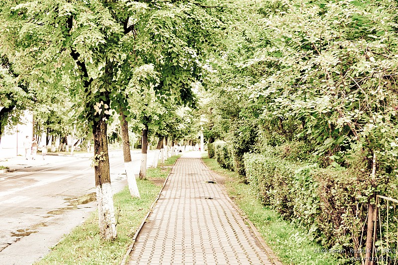 10.     2011-08-28__10-05-34_zelenogradsk.jpg