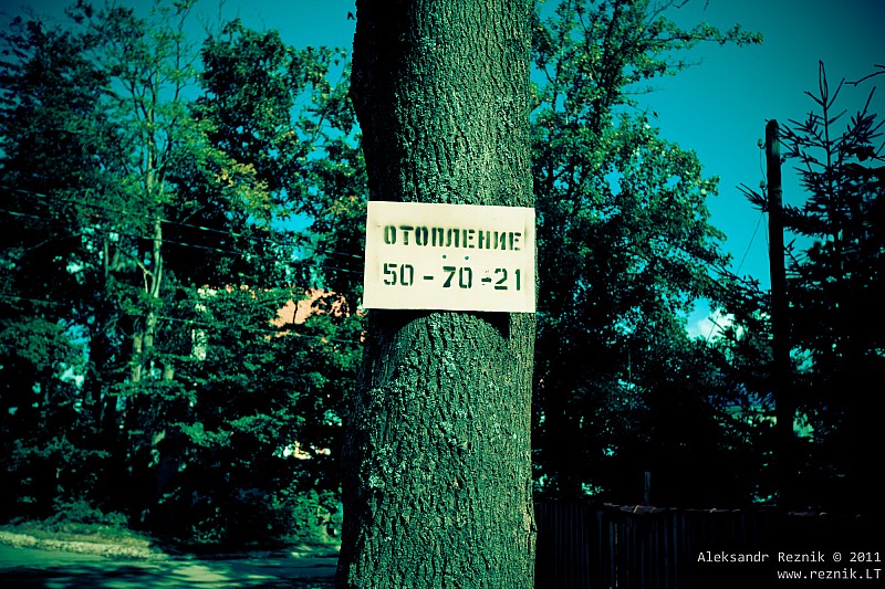 30.     2011-08-28__11-42-48_zelenogradsk.jpg